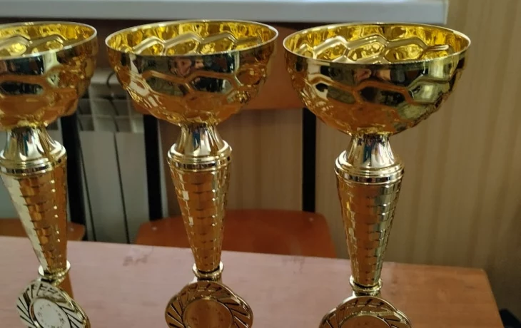 Турнир по шашкам Турнир по шашкам